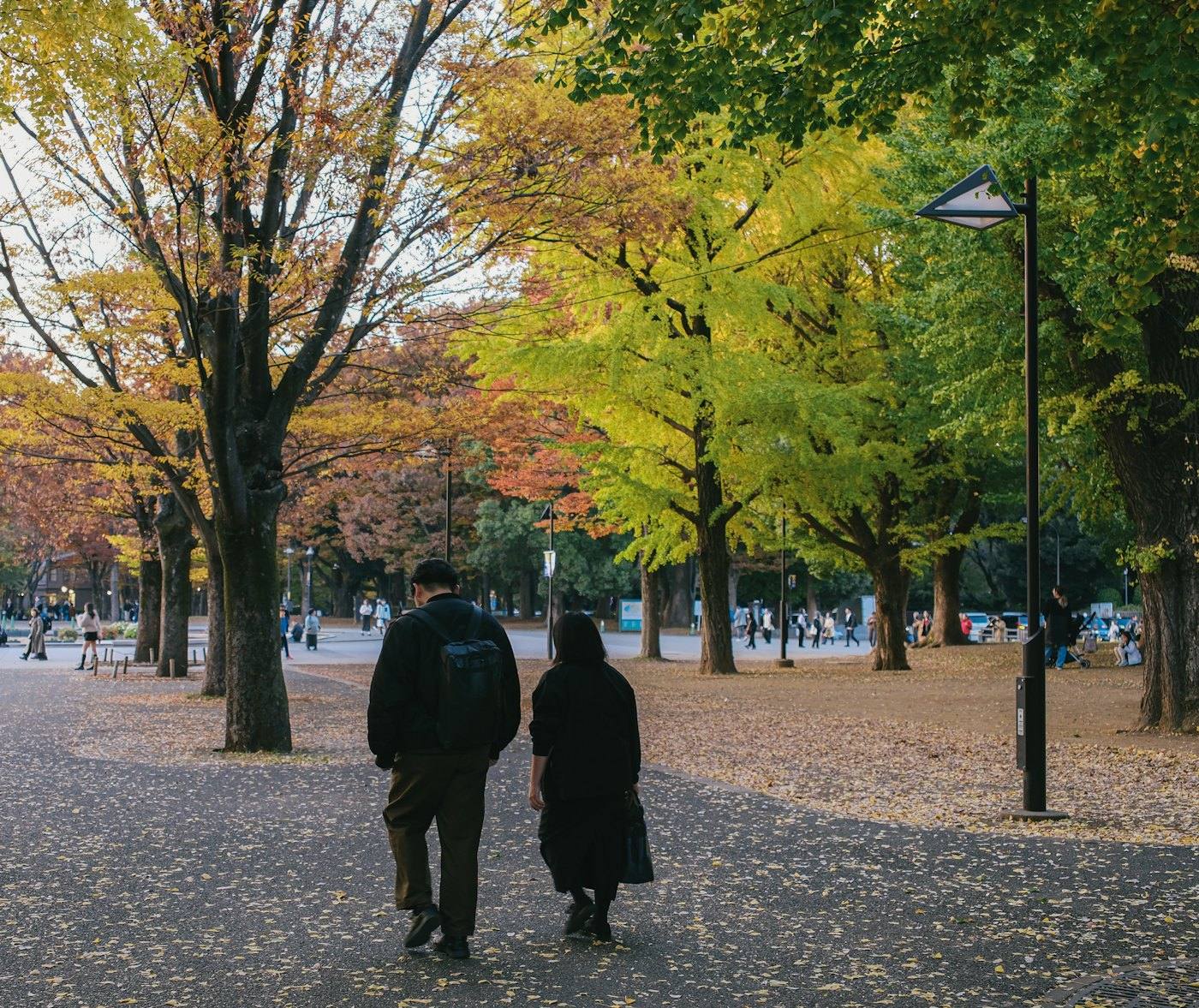 Two people walking through an autumn park